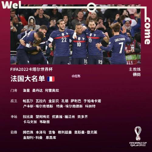 欧洲杯法国前锋排名（欧洲杯法国队小组排名）