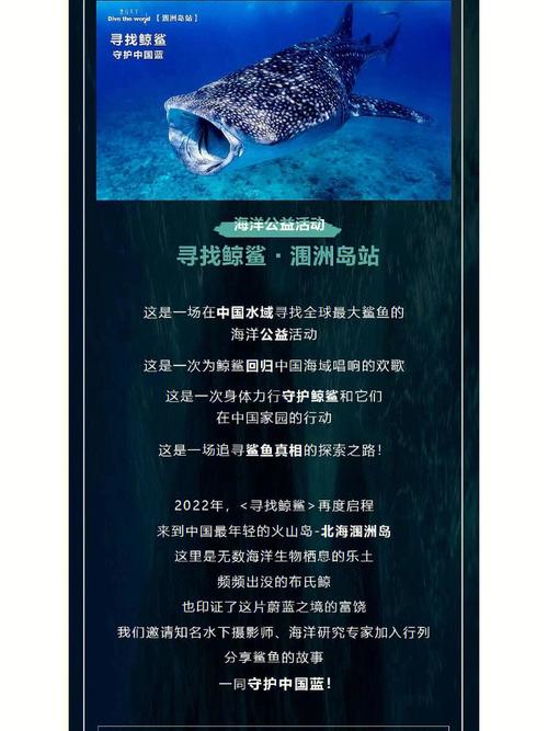 澳门鲸鲨体育app下载（澳门鲸鲨体育app下载安装）