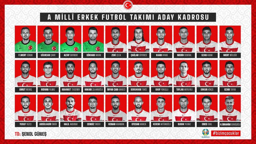 土耳其欧洲杯阵容号码（土耳其欧洲杯人员名单）