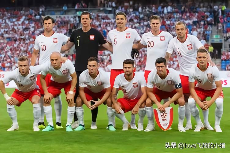 波兰足球欧洲杯阵容（欧洲杯波兰足球队）