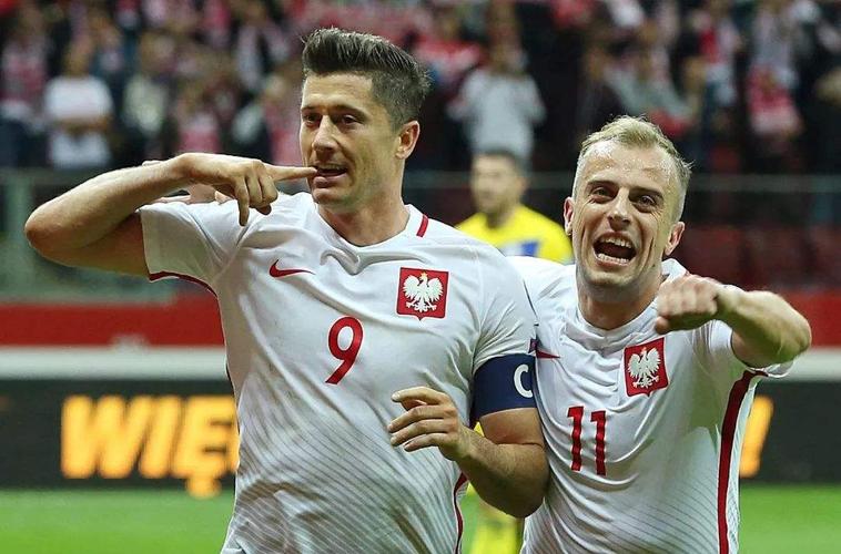 欧洲杯波兰如何出现（欧洲杯波兰淘汰了吗）